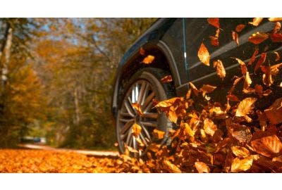 Gear Up for Fall: Your Vehicle's Ultimate Guide!