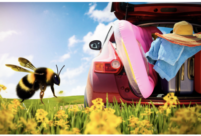 Spring Cleaning for Your Vehicle: Essential Areas to Tidy Up