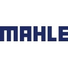 Mahle Motorsport