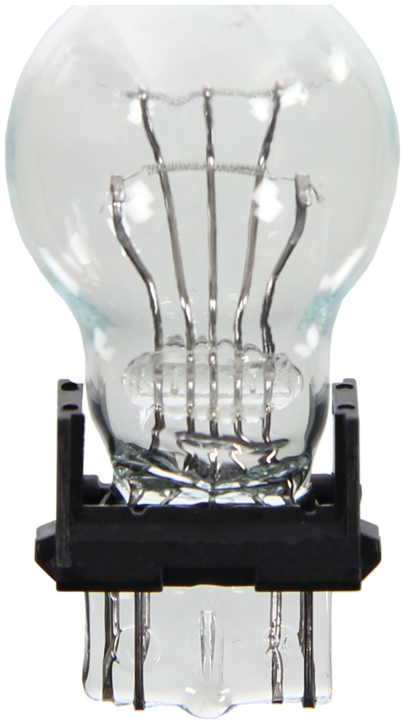 Wagner Lighting Back Up Light Bulb,Center High Mount Stop Light Bulb,Tail Light